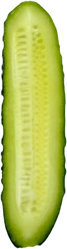 extra_item_2f98f2