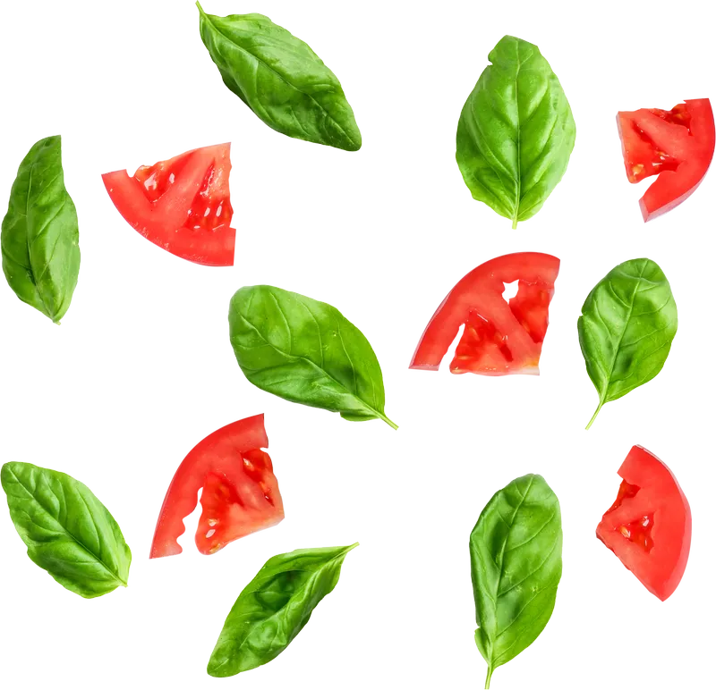 herb_herb_43e257