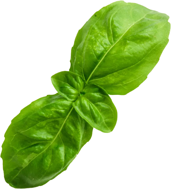 herb_herb_5f754b