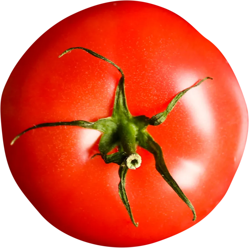 herb_herb_82d8f7