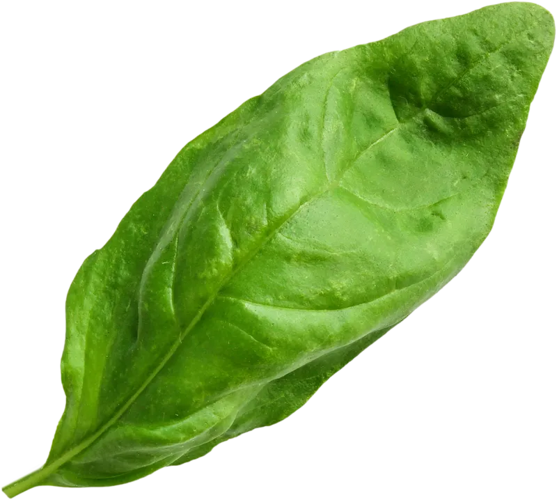 herb_herb_869de4