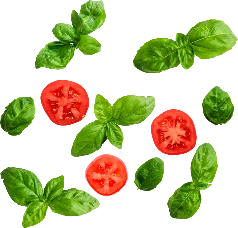 herb_herb_8aaf11