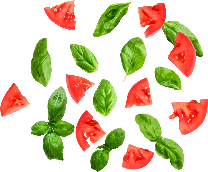 herb_herb_a417bd