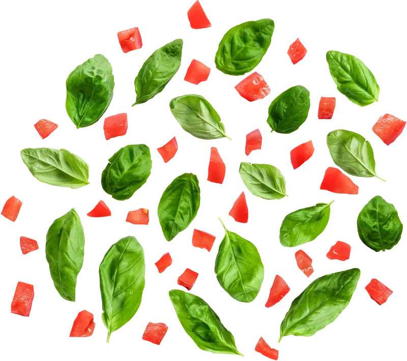 herb_herb_a9b2d4