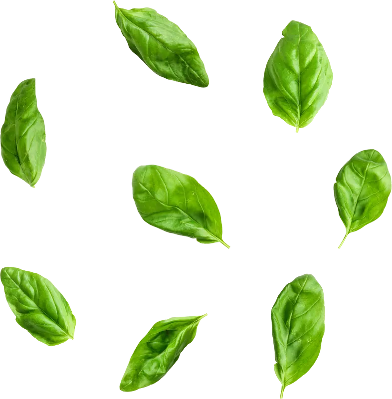 herb_herb_ba2541