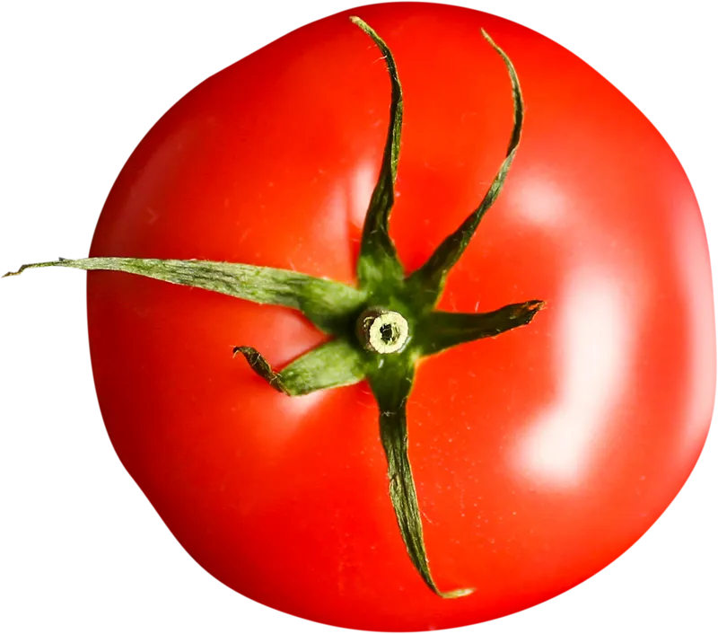 herb_herb_bb8976