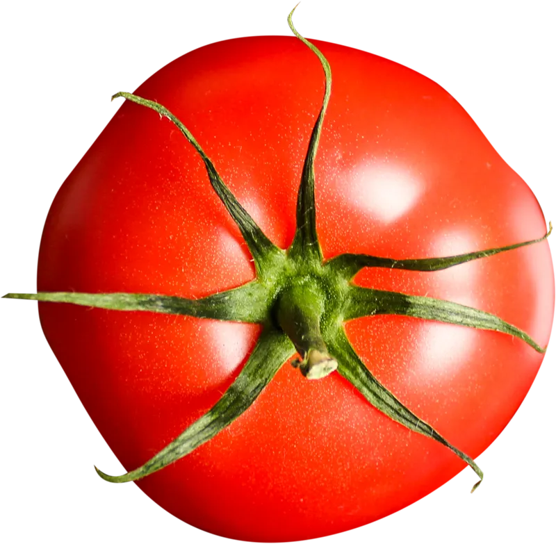 herb_herb_cb22b5