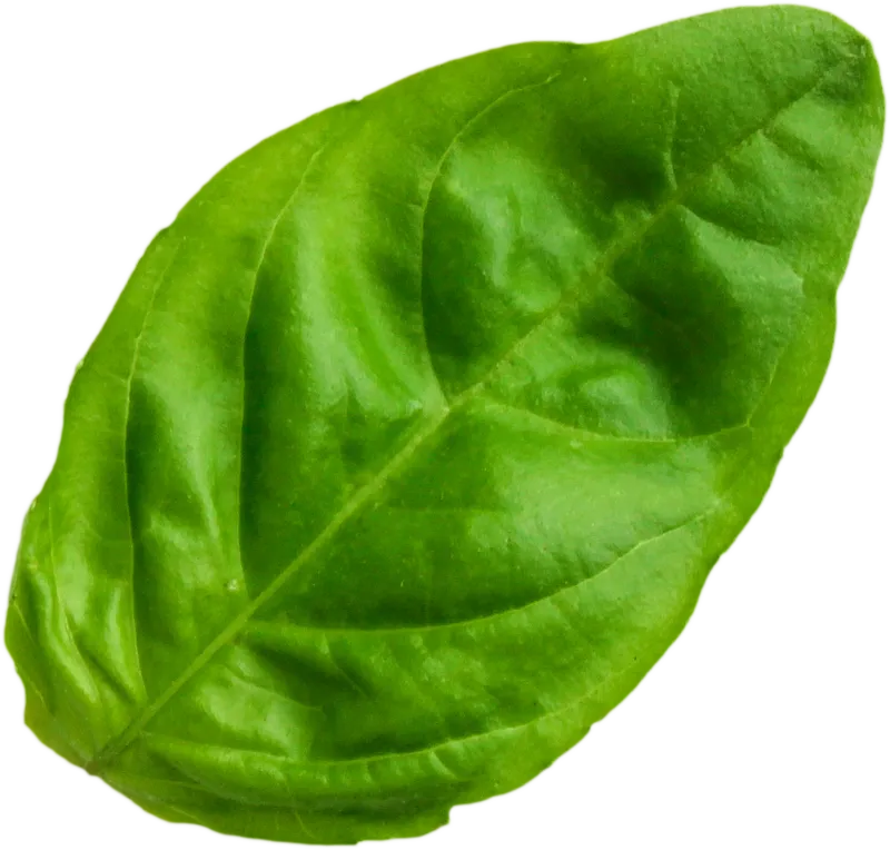 herb_herb_db5c21