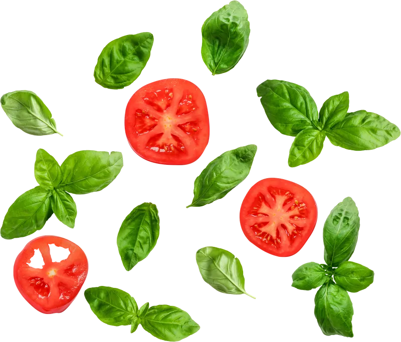 herb_herb_f4be20