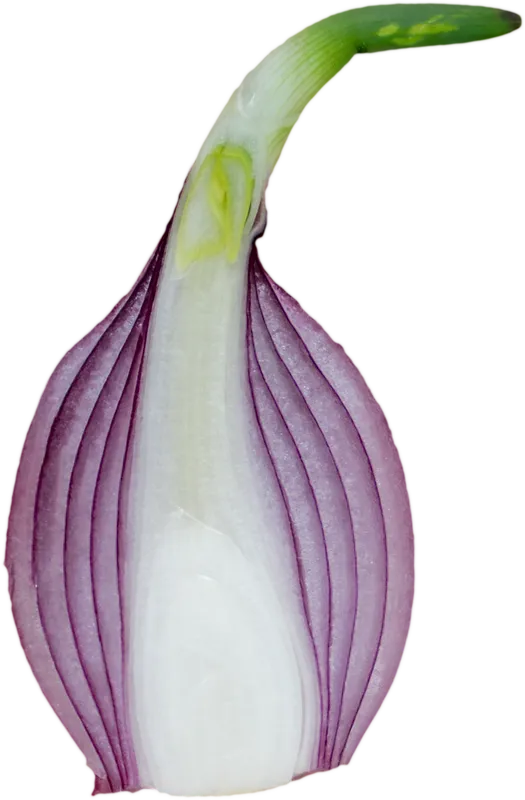 veg_veg_1a9a10