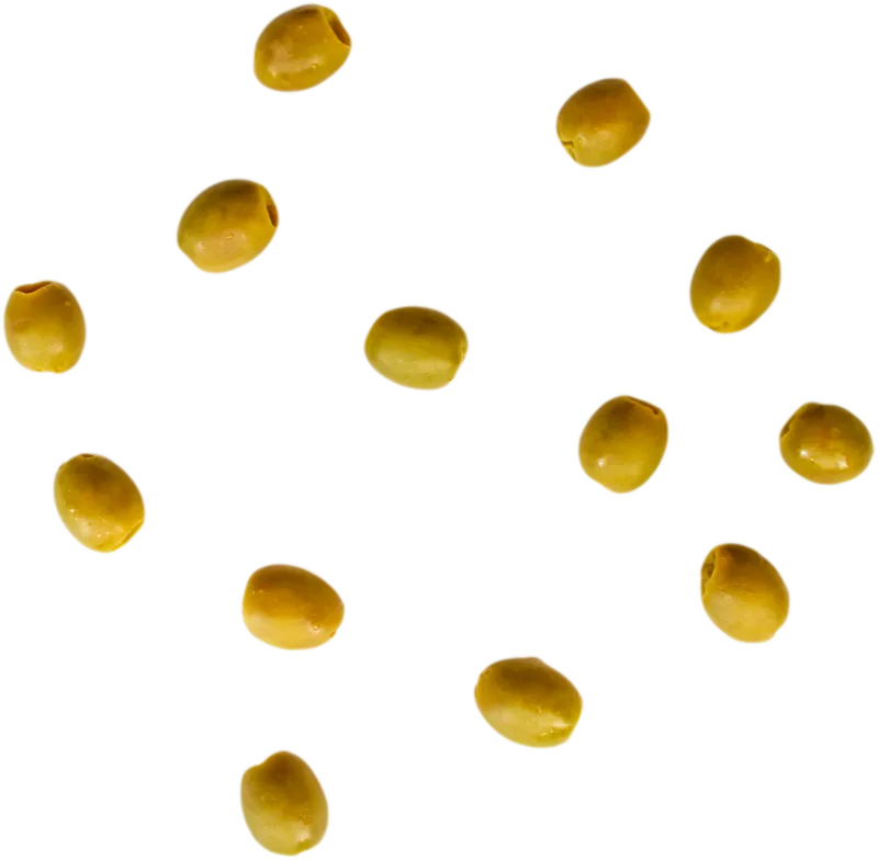 veg_veg_31d16a