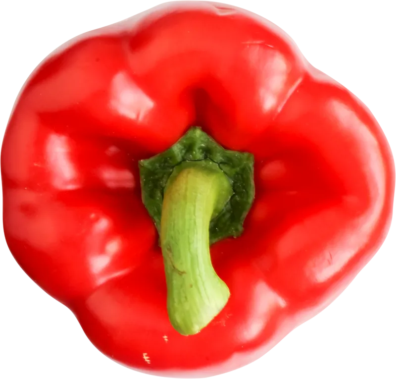 veg_veg_49ed87