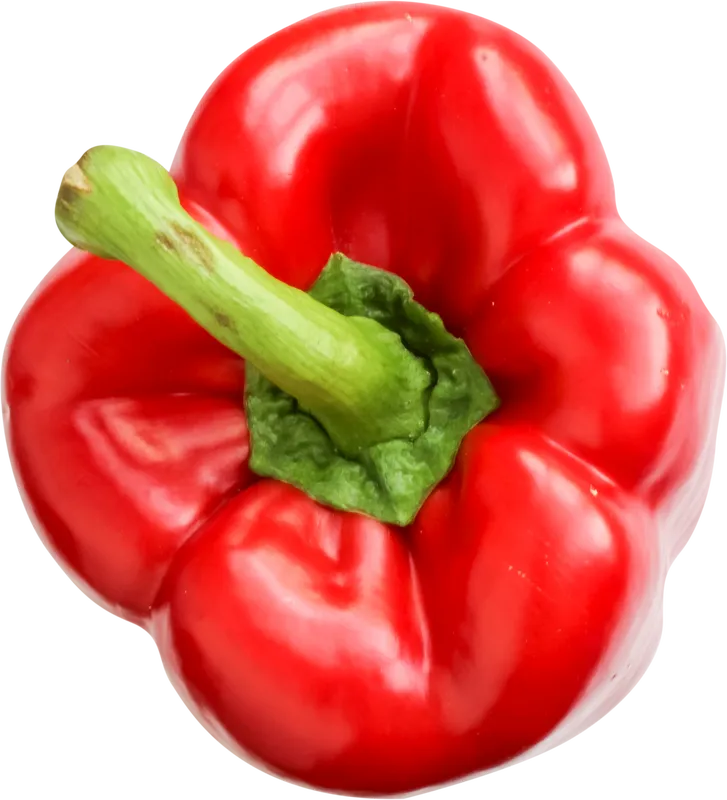 veg_veg_825ea7