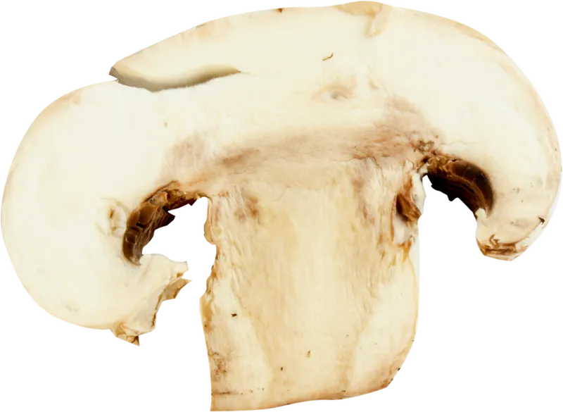 veg_veg_91039c