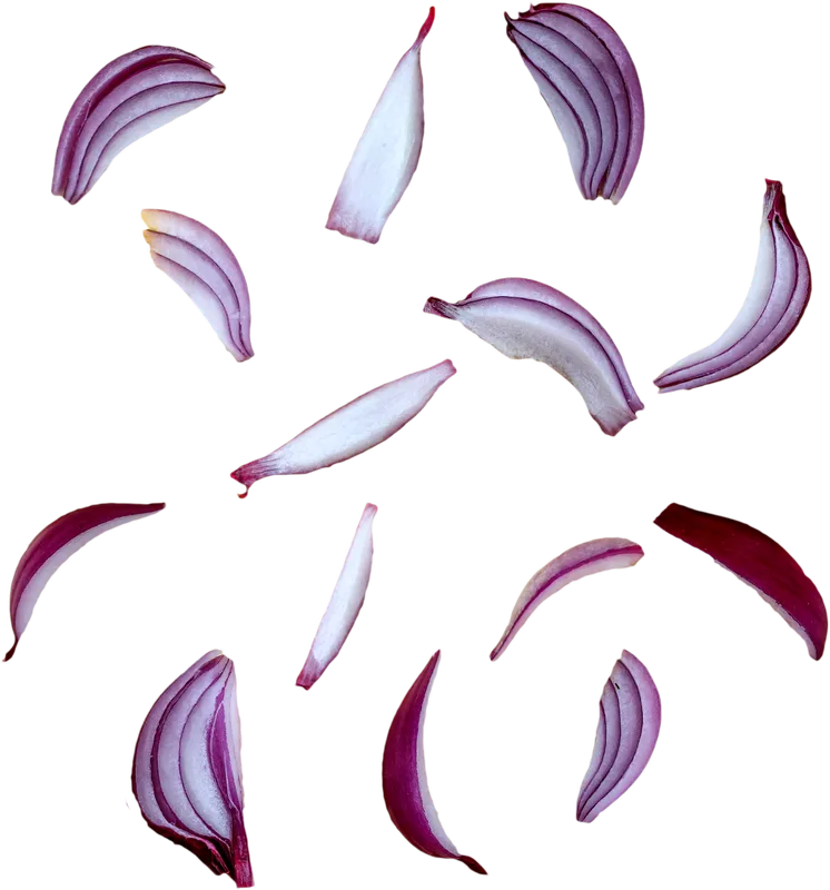 veg_veg_916abc