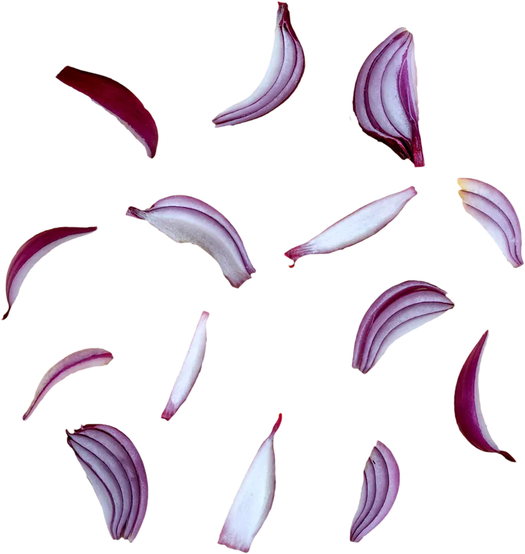 veg_veg_b6a03d