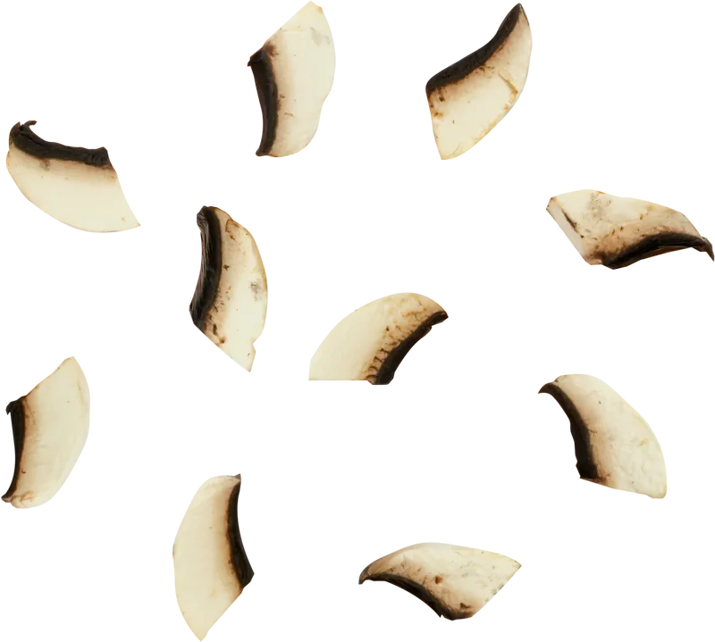 veg_veg_b6d8a7
