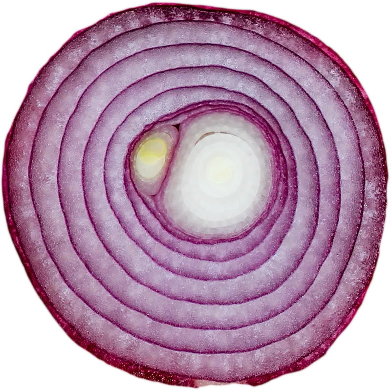 veg_veg_be4c65